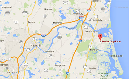 Get an interactive map for Tendercrop at Newbury, MA